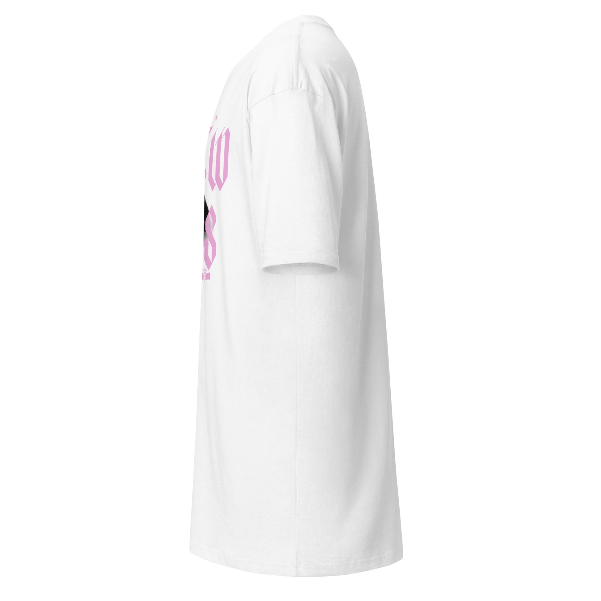 Hebrew Hero's Light Pink Heavyweight Tee - Nubreed.love