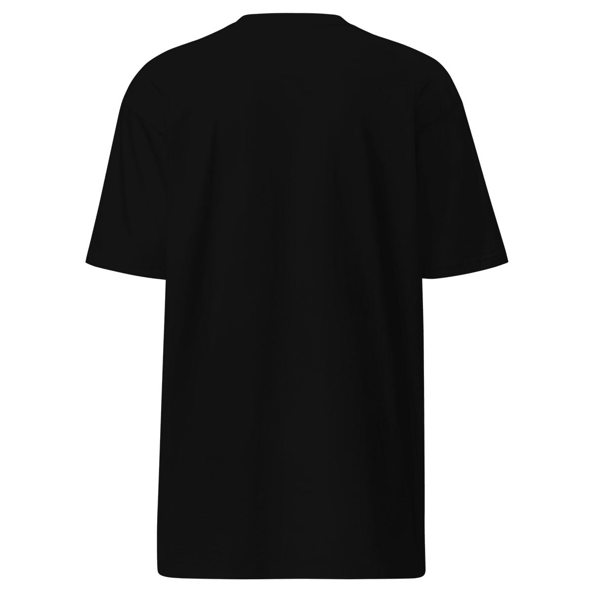 Nubreed Global Truth: Truth Maxing Men’s premium heavyweight tee - Nubreed Global Truth